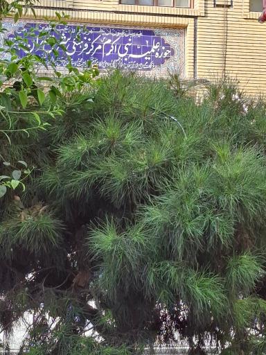 عکس صندوق قرض‌الحسنه مسجد نبی اکرم 