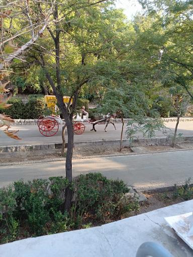 عکس پیست کالسکه سواری 