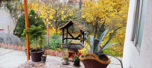 عکس سرای نادر