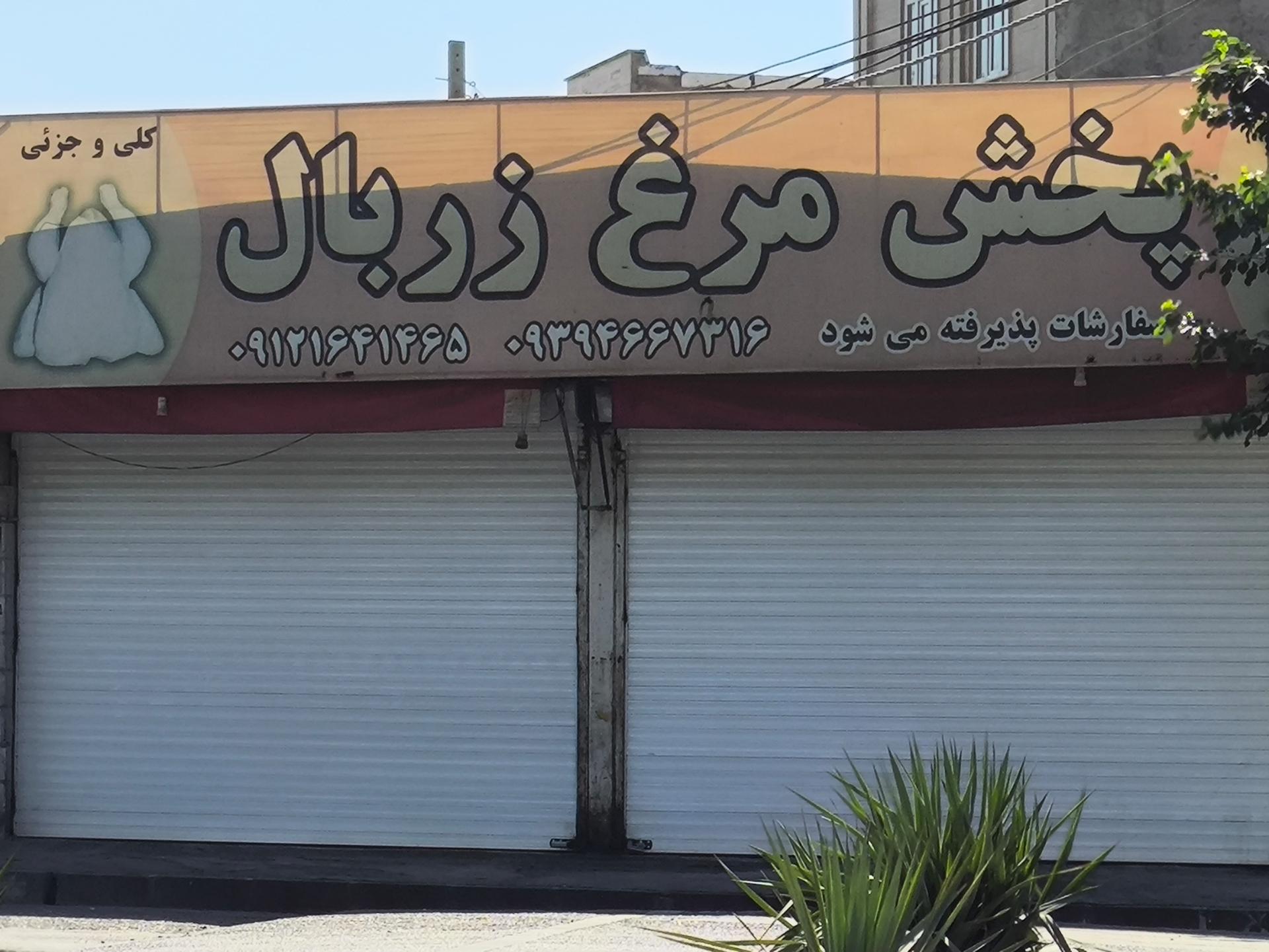 عکس مرغ زربال