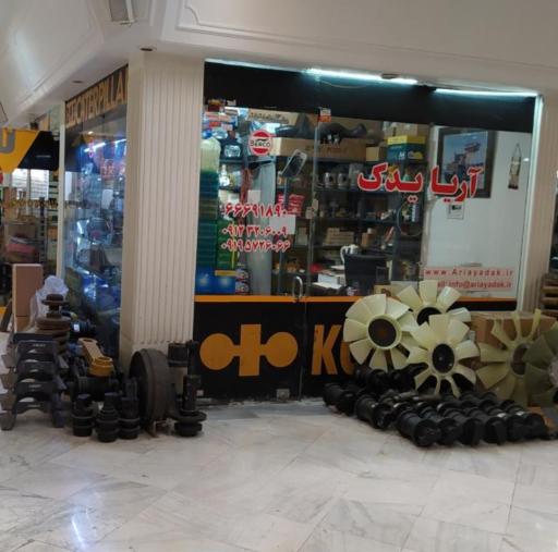 آریا یدک