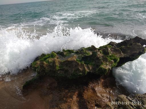 عکس سواحل صخره ای چابهار 