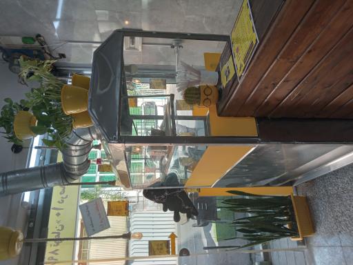 عکس  ساردی ویچ 