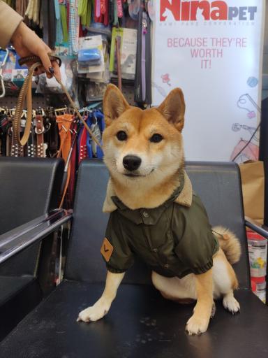 عکس سرزمین حیوانات