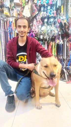 عکس سرزمین حیوانات