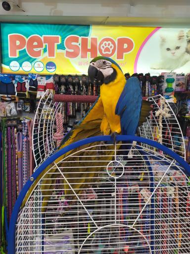 عکس سرزمین حیوانات