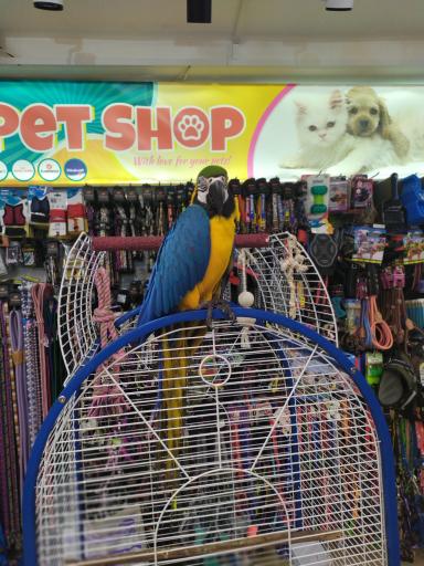 عکس سرزمین حیوانات