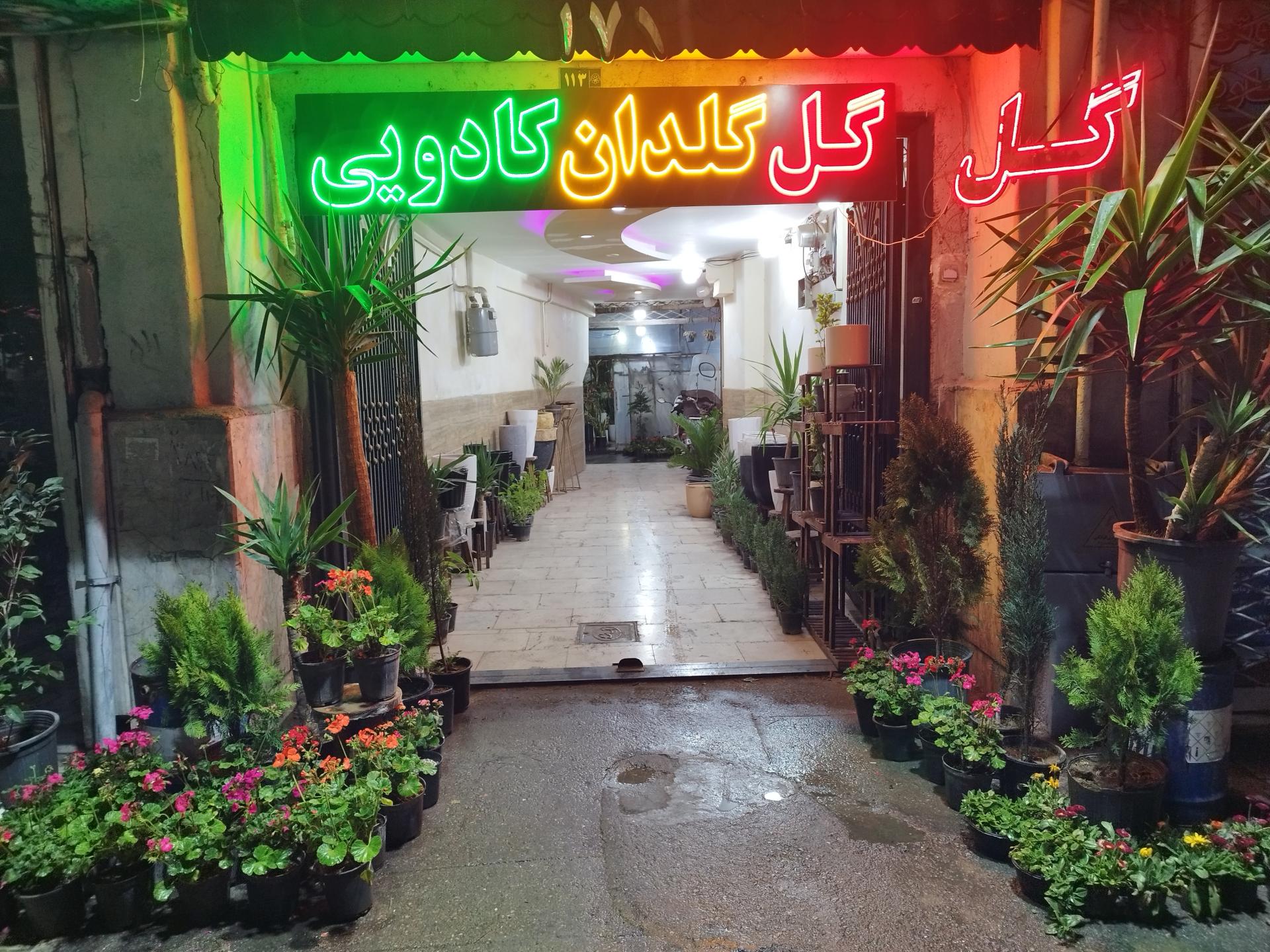 عکس گلخانه چهار فصل 