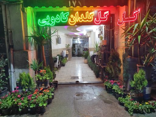 عکس گلخانه چهار فصل 