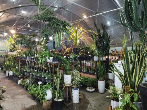 عکس گلخانه چهار فصل 