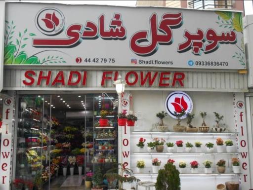 عکس گل شادی