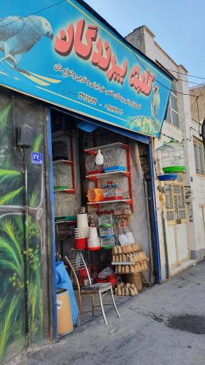 عکس فروشگاه لوازم جانبی کلبه پرندگان