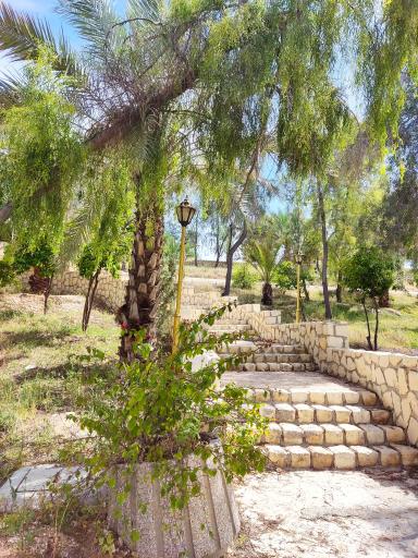 عکس بوستان گفتگو