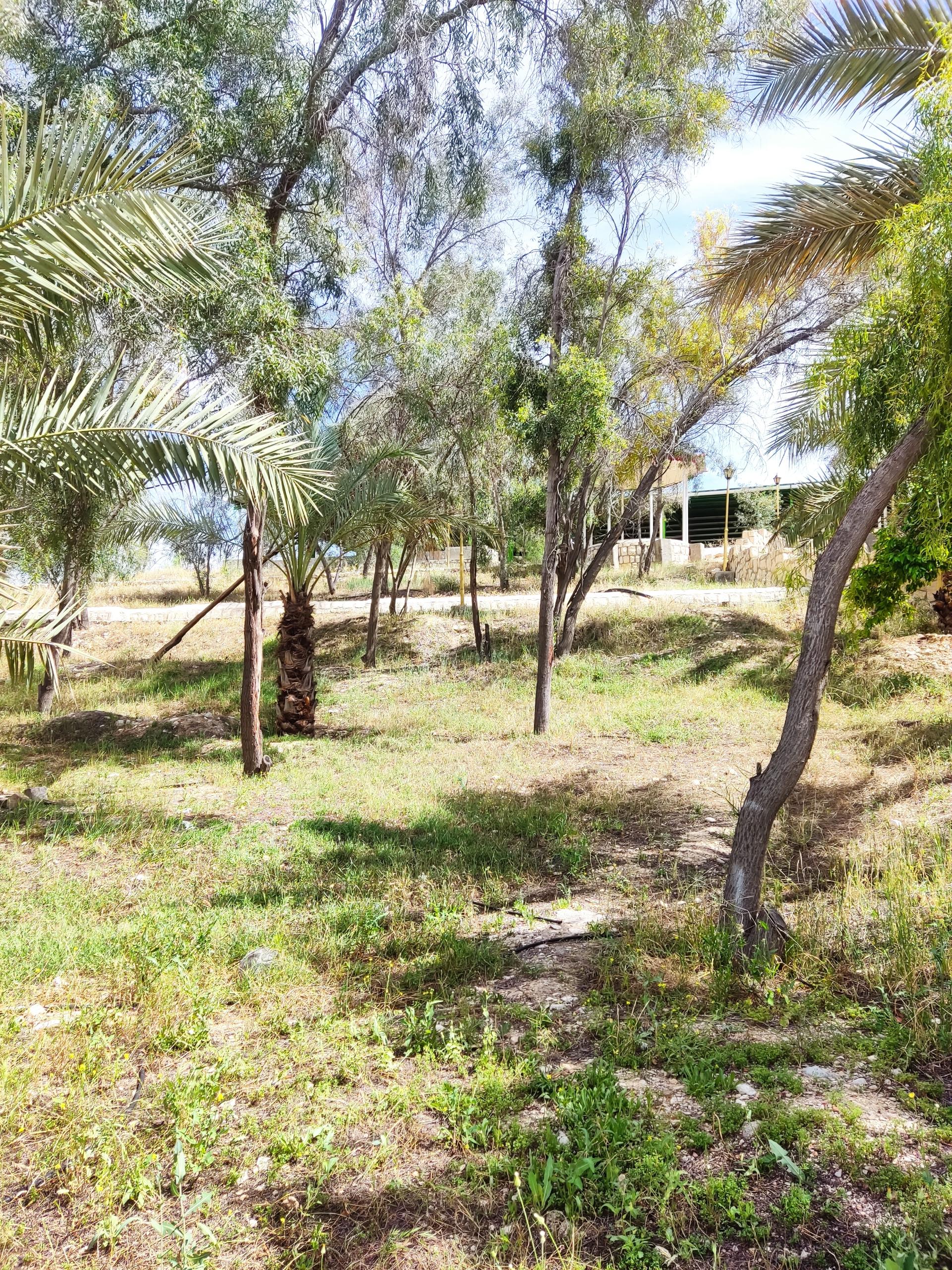 عکس بوستان گفتگو