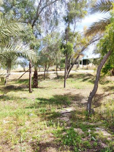 عکس بوستان گفتگو