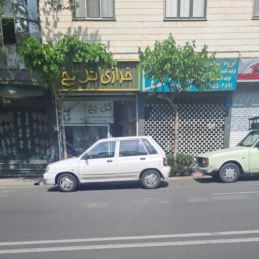 عکس خرازی گل یخ