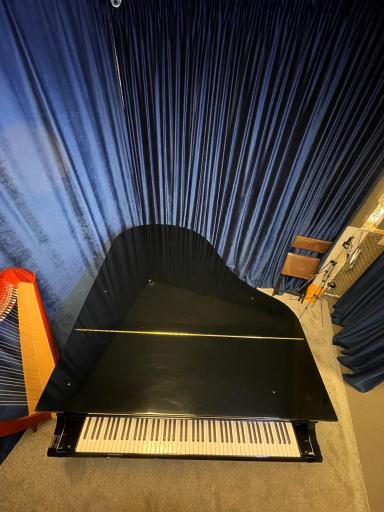 عکس آکادمی موسیقی شاهرخ