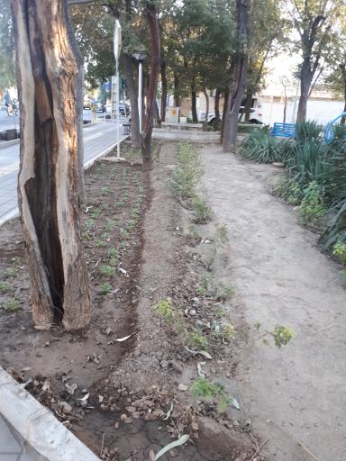 عکس بوستان درنا