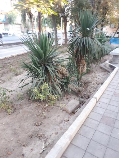 عکس بوستان درنا