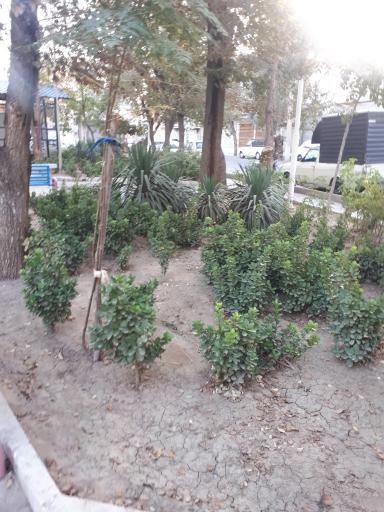 عکس بوستان درنا