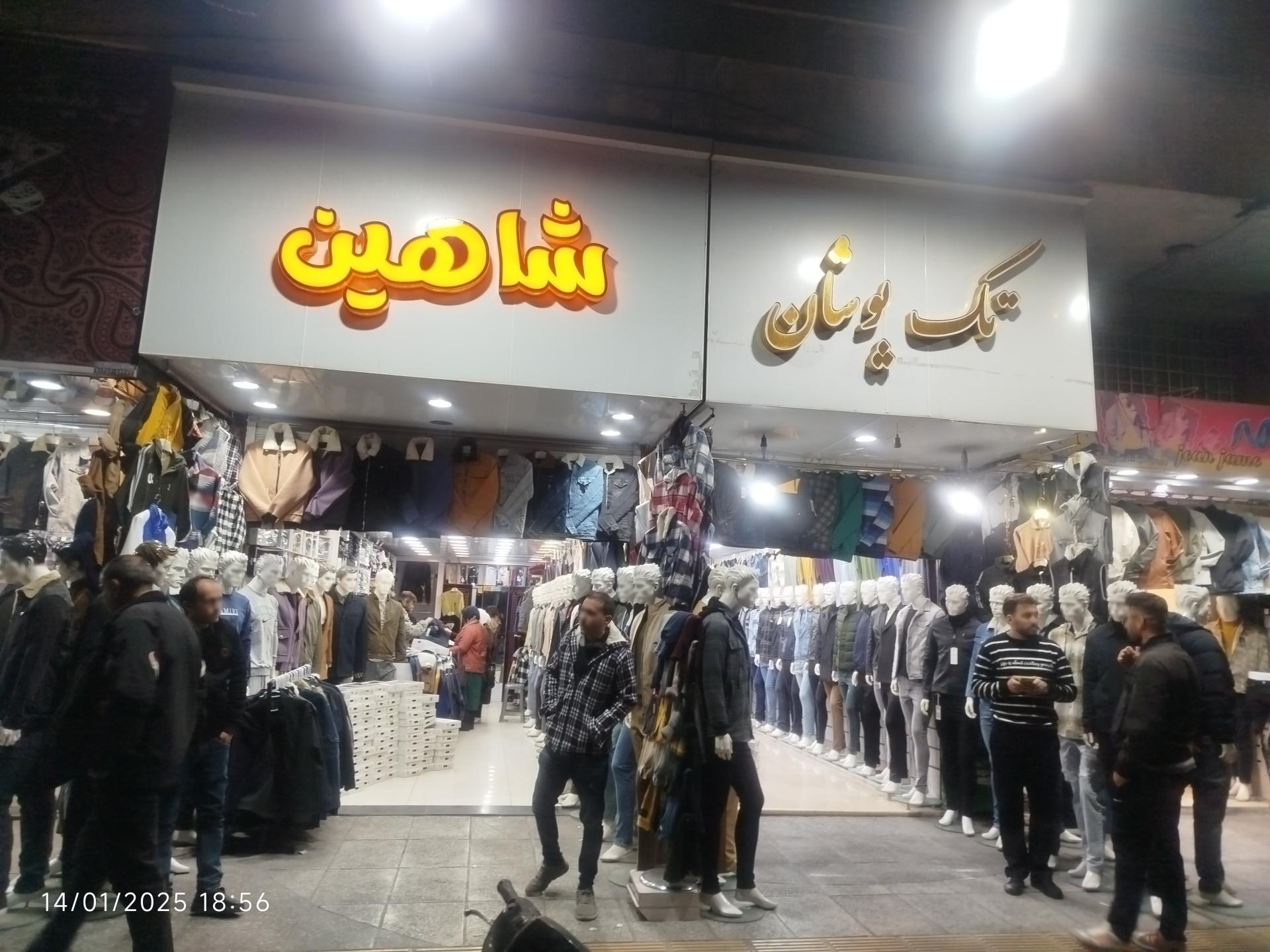 عکس تک پوشان شاهین