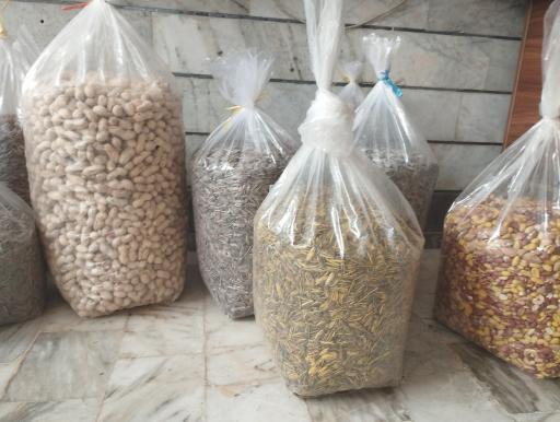 عکس خشکبار میلاد