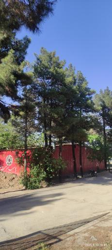 عکس چایسرای یاران