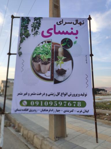 عکس گلکده بونسای 