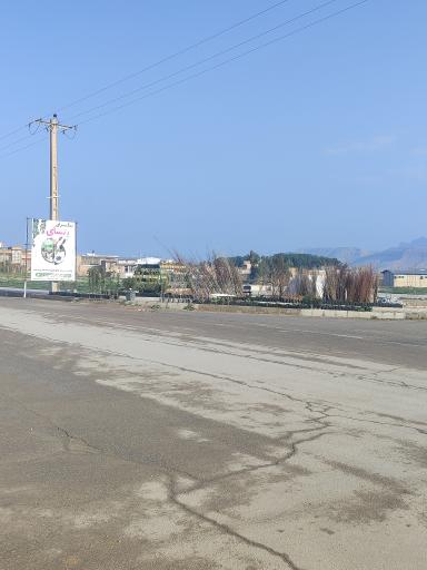 عکس گلکده بونسای 