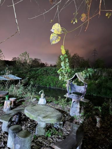 عکس اقامتگاه گردشگری دامون