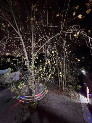 عکس اقامتگاه گردشگری دامون