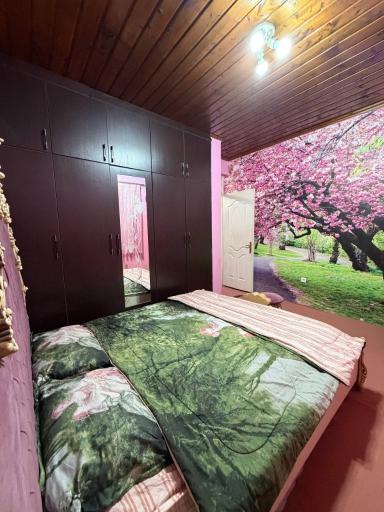 عکس اقامتگاه گردشگری دامون