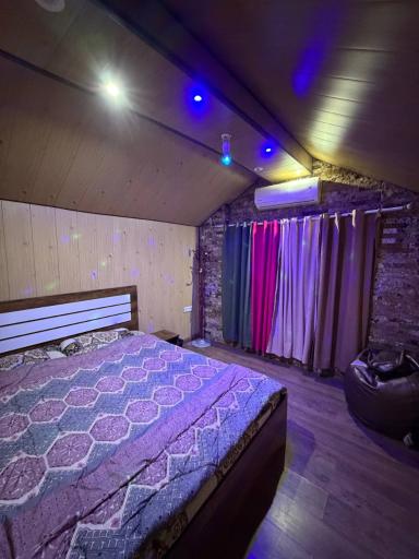 عکس اقامتگاه گردشگری دامون