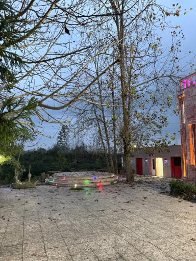 عکس اقامتگاه گردشگری دامون