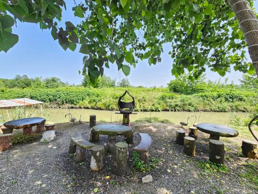 عکس اقامتگاه گردشگری دامون