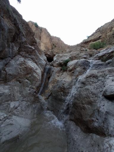 عکس آیراندیبی