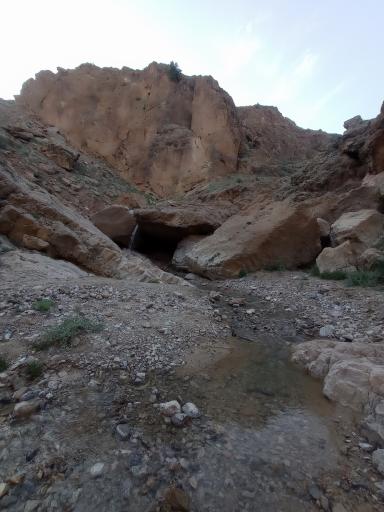 آیراندیبی