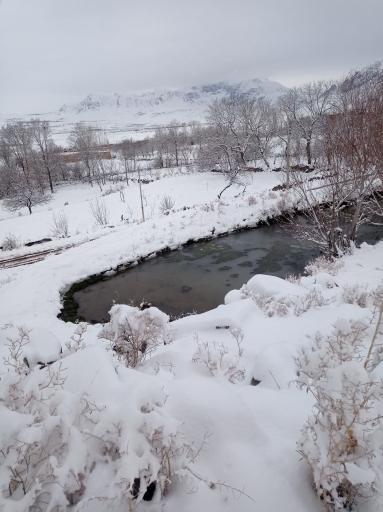 عکس آیراندیبی