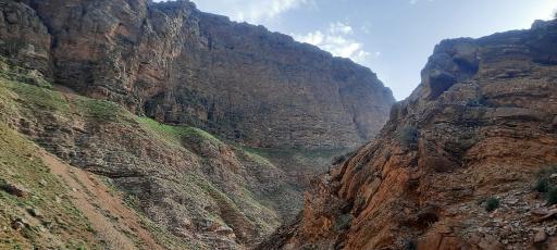 عکس آیراندیبی
