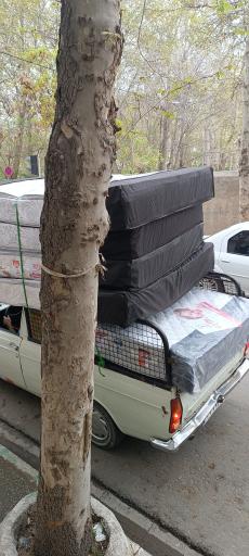 عکس مجموعه دشک