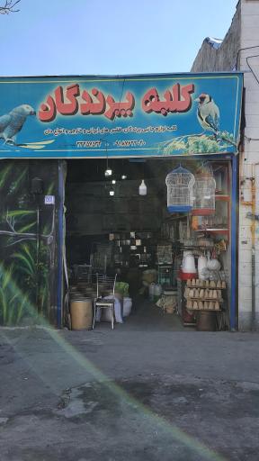عکس فروشگاه لوازم جانبی کلبه پرندگان
