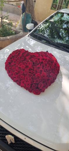 عکس گلکده سرحد آباد 