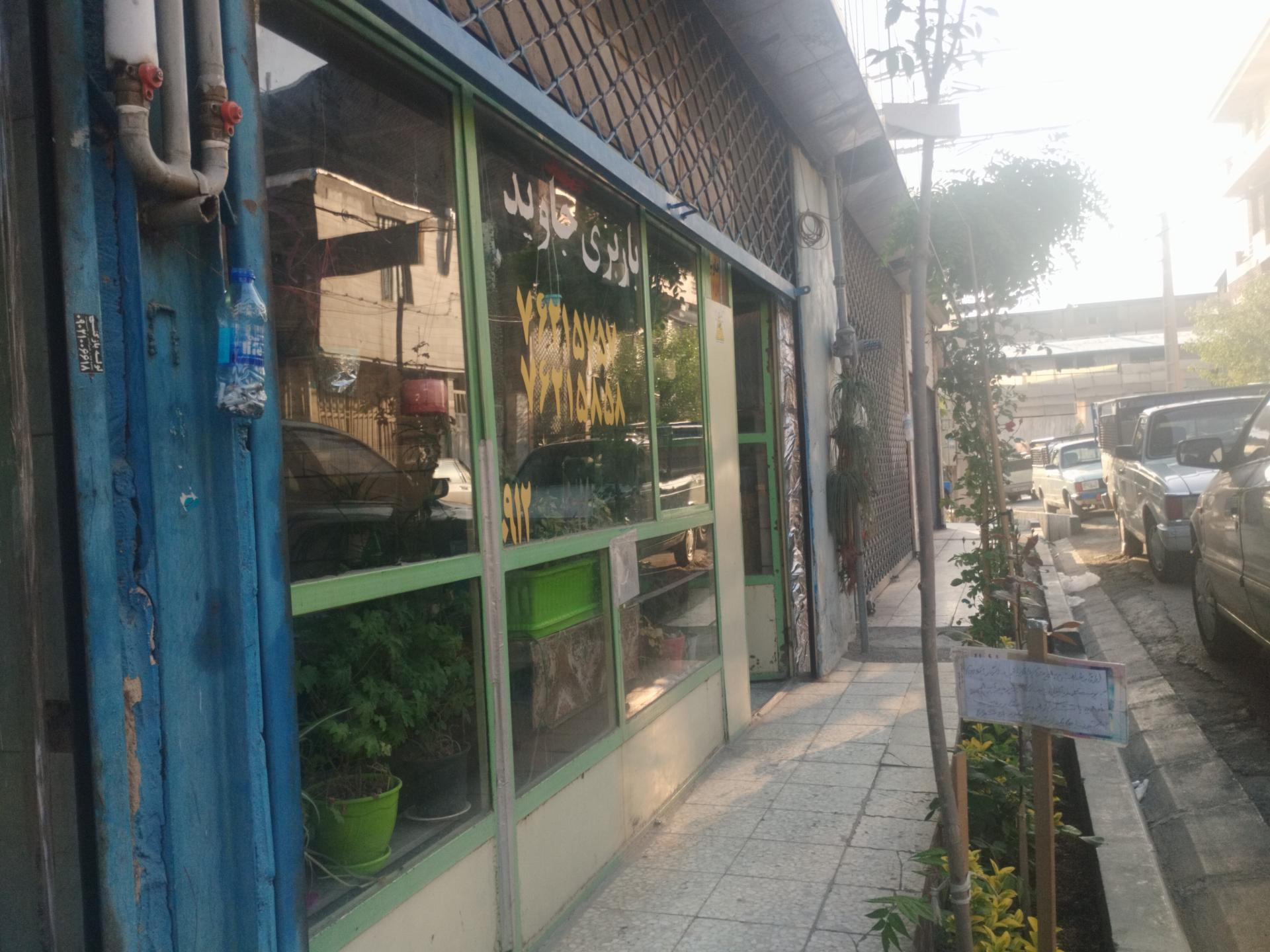 عکس باربری جاوید 