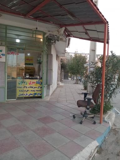 عکس سبزی خردکنی ریحون 