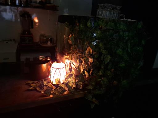 عکس کافه شیوانا