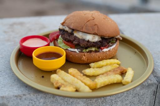 عکس فست فود سالسا