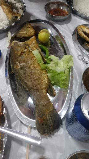 عکس رستوران سنتی ناخدا علی صالح