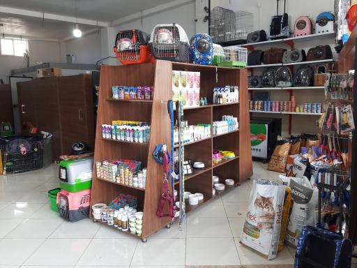عکس مجتمع دامپزشکی و پت شاپ هدهد