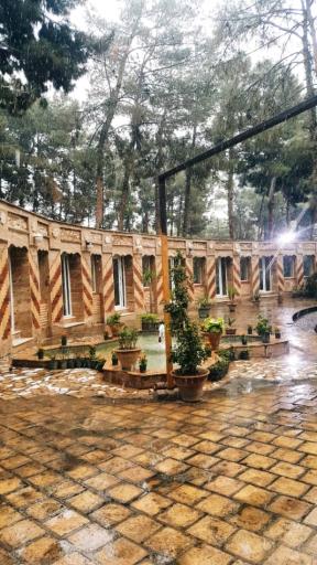 عکس پارک جنگلی پیشوا