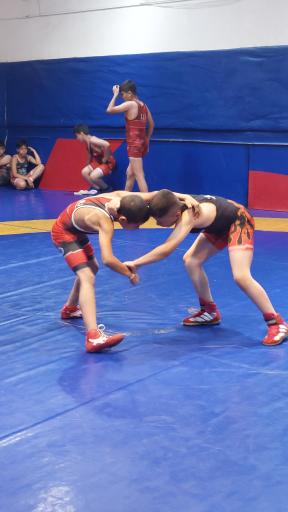 عکس سالن کشتی هفده شهریور